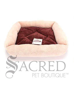 Cozy Cushion