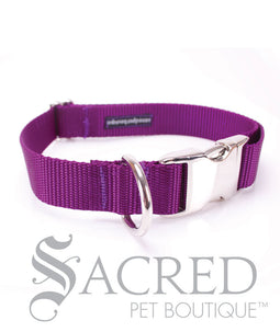 Everyday Dog Collar
