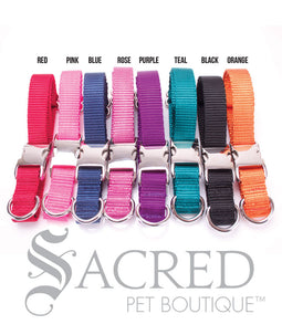 Everyday Dog Collar