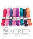 Everyday Dog Collar