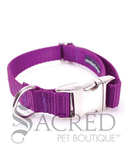 Everyday Dog Collar