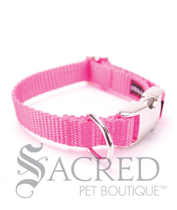 Everyday Dog Collar