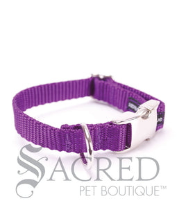 Everyday Dog Collar