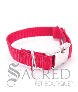 Everyday Dog Collar