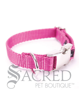 Everyday Dog Collar
