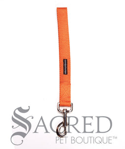 Everyday Dog Handle