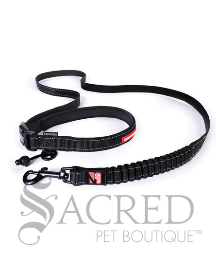 Road Runner Leash