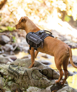 Convert Saddle Bags