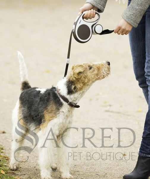 Flexi vario retractable sales tape dog leash