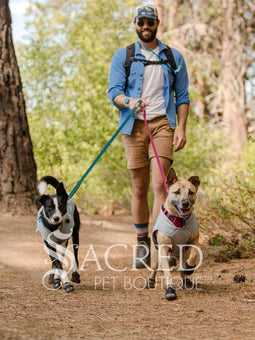 Front Range Leash