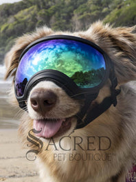 A dog in a beach setting is wearing black Rex Specs goggles with a blue mirror lens. In the reflection of the lenses you can see the sky and people. There is a grey sacred Pet Boutique watermark.