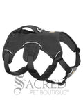 Web Master Harness