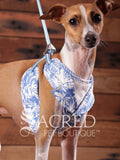 EasyGO pet harness
