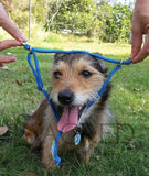 K9 Bridle