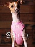 EasyGO pet harness