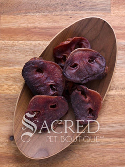 Pig Snout