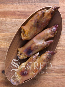 Pig Trotter