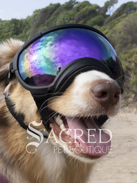 A dog in a beach setting is wearing black Rex Specs goggles with a blue mirror lens. In the reflection of the lenses you can see the sky and people. There is a grey sacred Pet Boutique watermark.