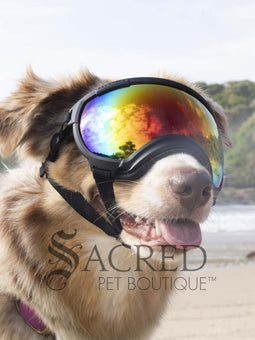 Rex Specs V2 Replacement Lenses
