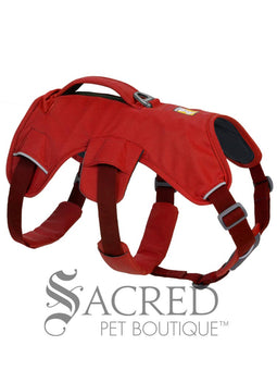 Web Master Harness