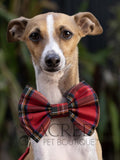 Bow Tie