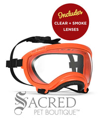 A black and white border collie dog wearing blue Rex Specs goggles is seen running in long dry grass. The goggles feature a green mirrored lens. The image has a white Sacred Pet Boutique watermark.