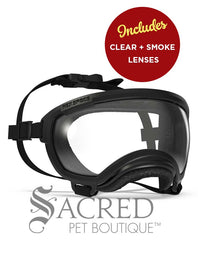 A black and white border collie dog wearing blue Rex Specs goggles is seen running in long dry grass. The goggles feature a green mirrored lens. The image has a white Sacred Pet Boutique watermark.