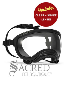 A black and white border collie dog wearing blue Rex Specs goggles is seen running in long dry grass. The goggles feature a green mirrored lens. The image has a white Sacred Pet Boutique watermark.