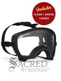 A black and white border collie dog wearing blue Rex Specs goggles is seen running in long dry grass. The goggles feature a green mirrored lens. The image has a white Sacred Pet Boutique watermark.