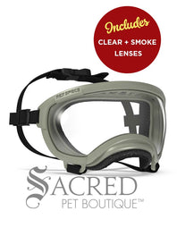 A black and white border collie dog wearing blue Rex Specs goggles is seen running in long dry grass. The goggles feature a green mirrored lens. The image has a white Sacred Pet Boutique watermark.