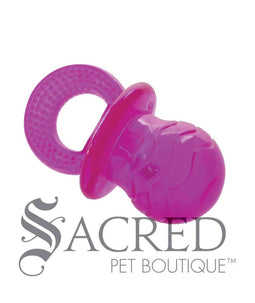 Pacifier Squeaker