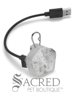 Beacon Dog Safety Light