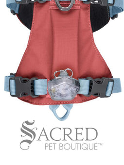 Beacon Dog Safety Light
