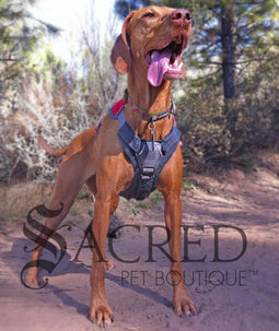 Brush Guard