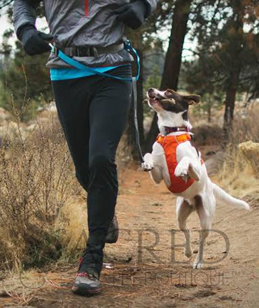 Ruffwear Trail Runner belt hands free running system Sacred Pet