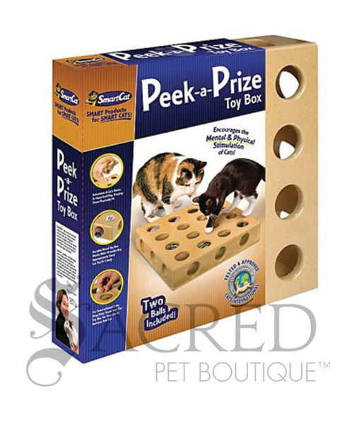 Cat toy outlet box