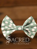 Bow Tie