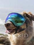 Rex Specs V2