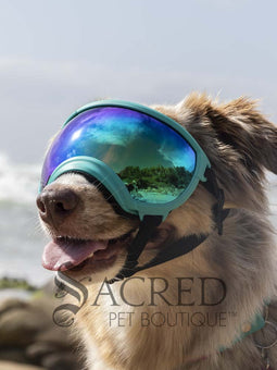 Rex Specs V2 Replacement Lenses