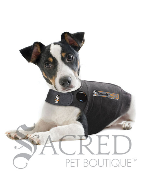 Does thundershirt work for barking sale