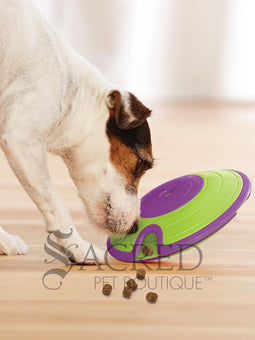 A green and purple saucer shaped interactive dog toy. It features a lime green outer ring and a vibrant purple centre and rim. A specialised curved indentation or track is visible on the green sections which allows treats to fall out. Near this opening is five dog treats showing how they fall out. At the bottom of this image is a grey Sacred Pet Boutique watermark.