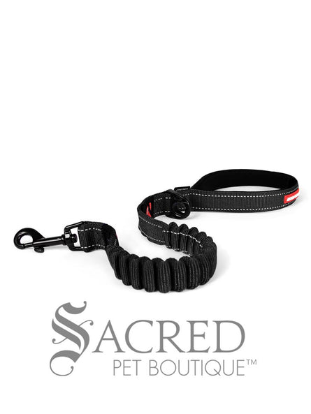 Zero Shock Leash