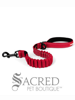 Zero Shock Leash