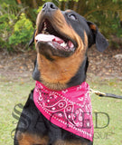 Bandana