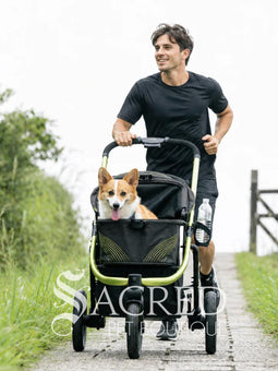 A woman in black athletic wear pushes a black pet stroller with green frame and wheel trim, in an outdoor urban setting. The stroller canopy has the brand name 'Ibiyaya' visible on the side. A white watermark from "Sacred Pet Boutique".