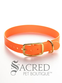 Biothane Waterproof Flat Collar