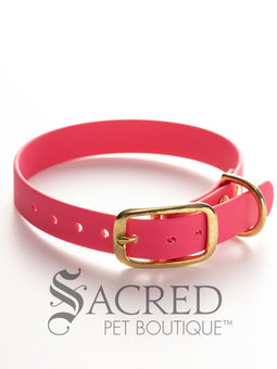 Biothane Waterproof Flat Collar