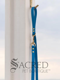 Biothane Waterproof Leash