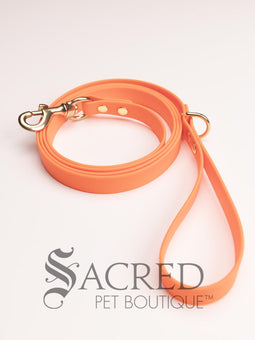 A fluro green biothane waterproof leash with brass hardware hanging from a brass hook on a white painted wooden post. It shows the full length of the leash which has it folded in half and the leash clip attached to the D ring at the leash handle. There is a beach in the background and a white Sacred Pet Boutique watermark the bottom. 