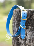A blue Biothane waterproof flat collar with brass buckle and brass D ring for leash attachment, displayed on a wooden post. With a Sacred Pet Boutique Watermark. 